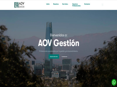 AOV Gestión